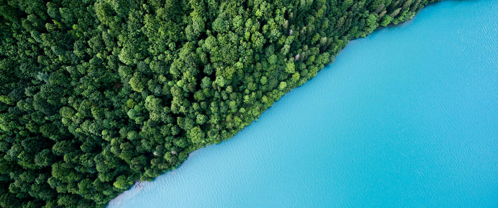 Real-Life Applications of GPS Trackers
